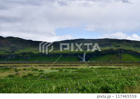 夏のアイスランド セリャランスフォスの滝(Seljalandsfoss ) 夏のアイスランド セリャランスフォスの滝(Seljalandsfoss ) 117465559