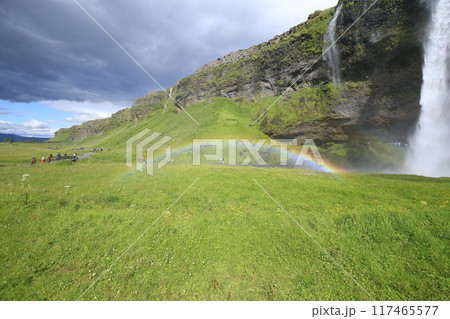 夏のアイスランド　セリャランスフォスの滝と虹（Seljalandsfoss ） 117465577