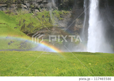 夏のアイスランド　セリャランスフォスの滝と虹（Seljalandsfoss ） 117465580