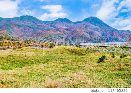 北海道 秋の知床五湖　～高架木道から知床連山を望む～ 117465883