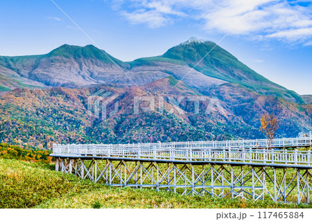 北海道 秋の知床五湖 ~高架木道から知床連山を望む~ 北海道 秋の知床五湖 ~高架木道から知床連山を望む~ 117465884