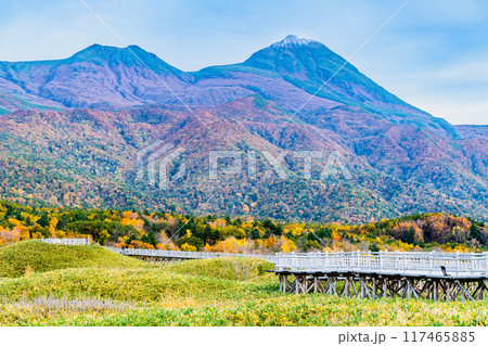 北海道 秋の知床五湖 ~高架木道から知床連山を望む~ 北海道 秋の知床五湖 ~高架木道から知床連山を望む~ 117465885