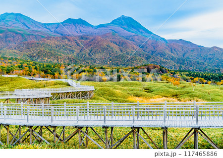 北海道 秋の知床五湖 ~高架木道から知床連山を望む~ 北海道 秋の知床五湖 ~高架木道から知床連山を望む~ 117465886