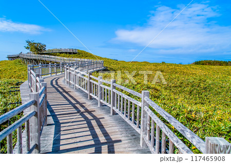 北海道 秋の知床五湖　～高架木道～ 117465908