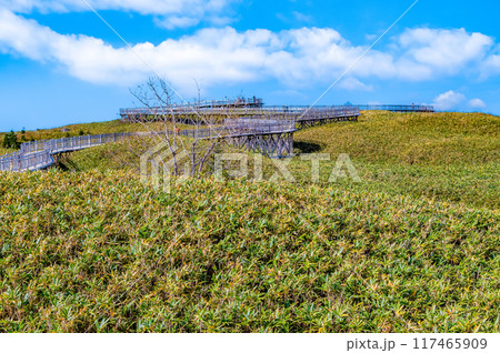 北海道 秋の知床五湖 ~高架木道~ 北海道 秋の知床五湖 ~高架木道~ 117465909
