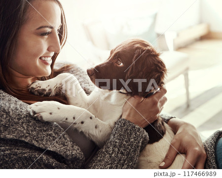 Smile, woman and dog with love at house, adoption and bonding for care by support of animal relax on sofa. Happy, pet owner and puppy friends for wellness, hug or loyalty together at family home Smile, woman and dog with love at house, adoption and bonding for care by support of animal relax on sofa. Happy, pet owner and puppy friends for wellness, hug or loyalty together at family home 117466989