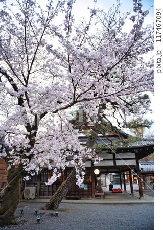 桜咲く佛光寺の春 2023年 桜咲く佛光寺の春 2023年 117467094