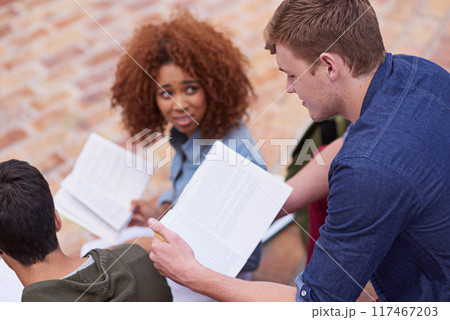 Confused, students and friends with book for learning, education and reading outdoor. People, study and university youth with notebook for teamwork, research and studying for exam from above view Confused, students and friends with book for learning, education and reading outdoor. People, study and university youth with notebook for teamwork, research and studying for exam from above view 117467203