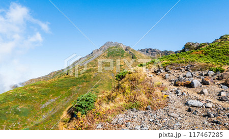 秋の鳥海山登山：外輪山コースから山頂（新山）を望む 117467285