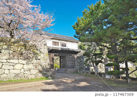 【和歌山城 (岡口御門)】 和歌山県和歌山市 【和歌山城 (岡口御門)】 和歌山県和歌山市 117467309