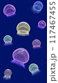 [Mobile]カワイイクラゲ | kawaii jellyfish 117467455