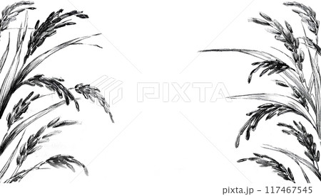 お米 稲の水彩画 イラスト AI生成画像 お米 稲の水彩画 イラスト AI生成画像 117467545
