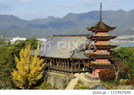 広島県宮島 秋の朝の豊国神社と五重塔 広島県宮島 秋の朝の豊国神社と五重塔 117467690