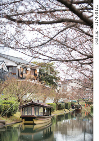 伏見 桜のある景色2023 伏見 桜のある景色2023 117468121
