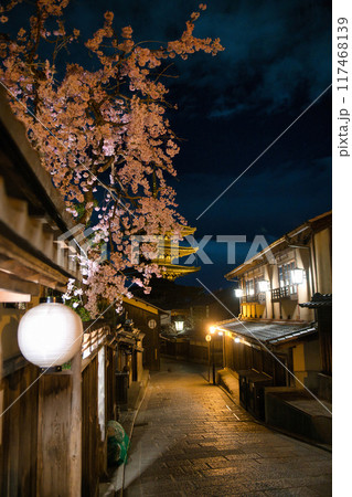 八坂の塔と桜 2023春 八坂の塔と桜 2023春 117468139