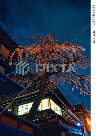 京都の春　産寧坂（三年坂）の今は無きしだれ桜2023 117468145