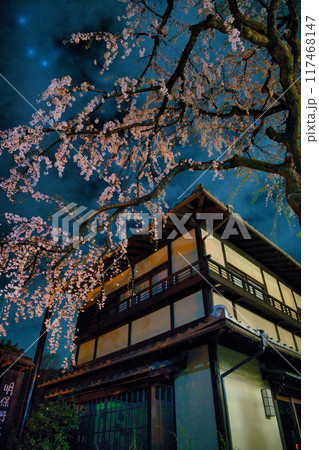 京都の春 産寧坂(三年坂)の今は無きしだれ桜2023 京都の春 産寧坂(三年坂)の今は無きしだれ桜2023 117468147