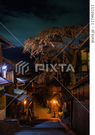 京都の春 産寧坂(三年坂)の今は無きしだれ桜2023 京都の春 産寧坂(三年坂)の今は無きしだれ桜2023 117468151