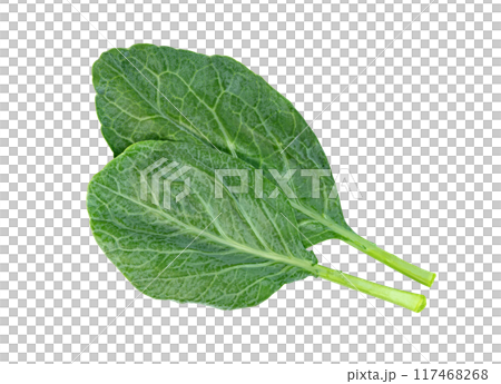 Chinese kale isolated, Green leaves of collards pattern Chinese kale isolated, Green leaves of collards pattern 117468268