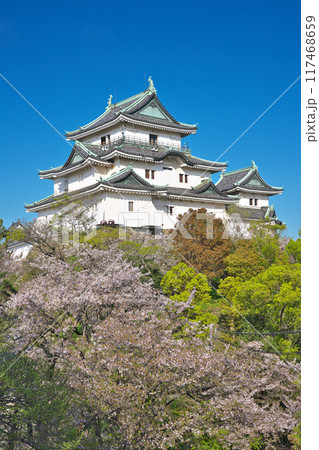 【和歌山城】 和歌山県和歌山市 117468659