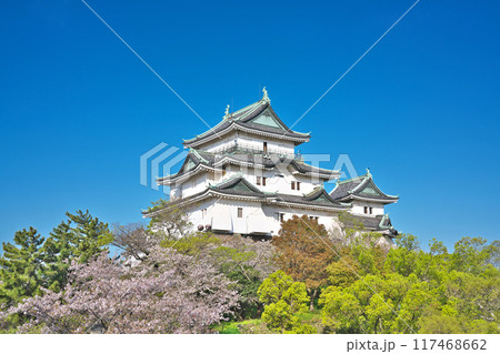【和歌山城】 和歌山県和歌山市 【和歌山城】 和歌山県和歌山市 117468662