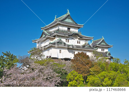 【和歌山城】 和歌山県和歌山市 【和歌山城】 和歌山県和歌山市 117468666