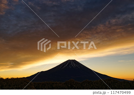 竜ヶ岳から見る朝焼け雲と富士山 117470499