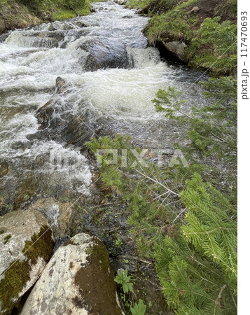 Fast mountain river running among large stones Fast mountain river running among large stones 117470693