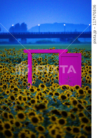 益子のひまわり祭会場 益子のひまわり祭会場 117470836