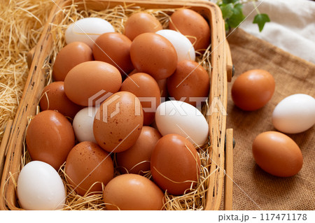 いっぱいの生卵(2) いっぱいの生卵(2) 117471178