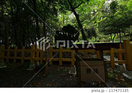 新緑の出雲大神宮 117471185