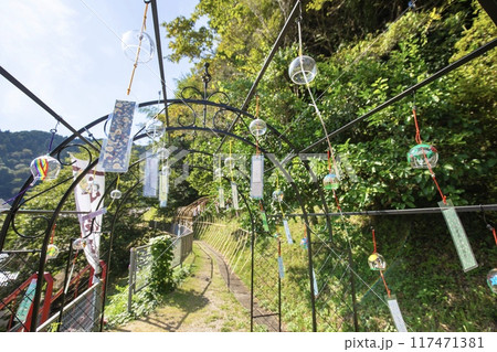 豊田市、増福寺の風鈴トンネル（小渡夢かけ風鈴） 117471381