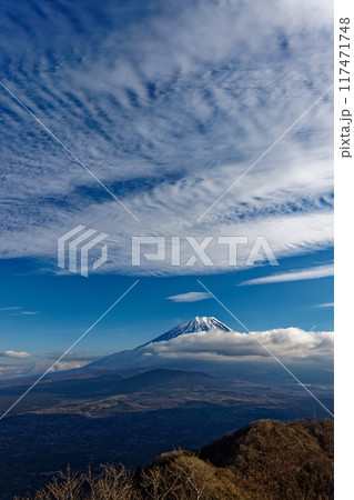 冬の精進湖・パノラマ台から見る富士山 117471748