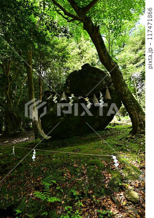 新緑の出雲大神宮 新緑の出雲大神宮 117471866