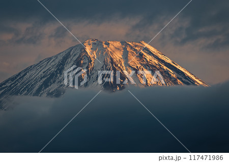 精進湖・パノラマ台から見る夕照の富士山 117471986