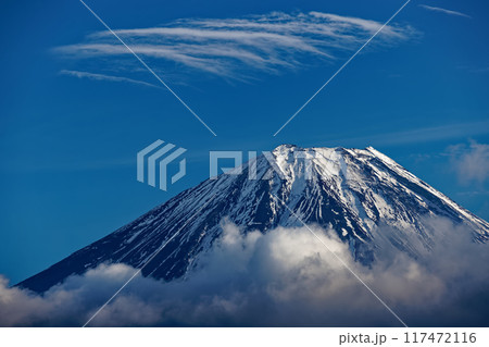 精進湖・パノラマ台から見る雲上の富士山 117472116