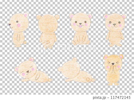 かわいいクマのイラストセット 117472145