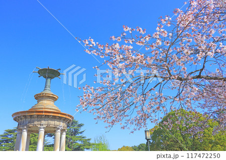 愛知県名古屋市、鶴舞公園噴水塔と桜の風景 117472250