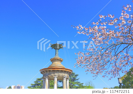 愛知県名古屋市、鶴舞公園噴水塔と桜の風景 愛知県名古屋市、鶴舞公園噴水塔と桜の風景 117472251