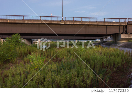 日本の岡山県岡山市の夏の早朝の美しい町の風景 日本の岡山県岡山市の夏の早朝の美しい町の風景 117472320