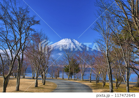 【山梨県】山中湖から眺める冬の富士山 117472645