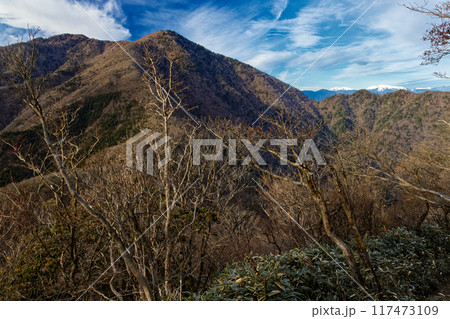 竜ヶ岳・端足峠から見る雨ヶ岳と南アルプス・荒川岳と赤石岳 117473109