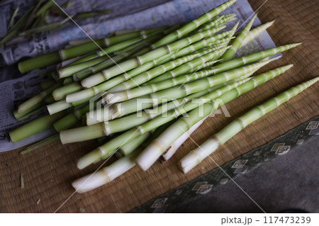 皮をむいた根曲がり竹 117473239