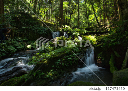 若狭瓜割名水公園の夏 若狭瓜割名水公園の夏 117473430