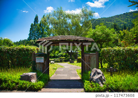 若狭瓜割名水公園の夏 若狭瓜割名水公園の夏 117473608