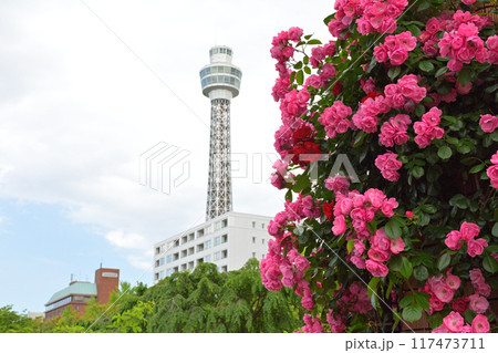 横浜・山下公園 横浜・山下公園 117473711