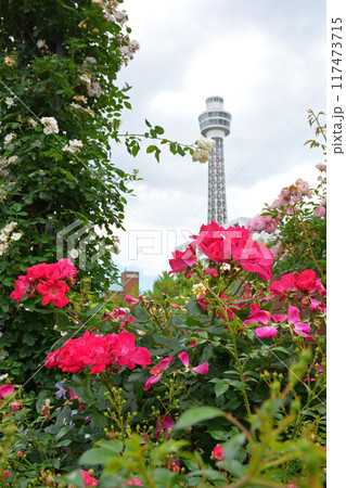 横浜・山下公園 117473715