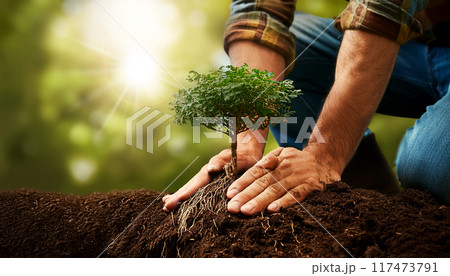 Closeup of Hands Planting a Small Tree with Roots in the Ground - Generative Ai Closeup of Hands Planting a Small Tree with Roots in the Ground - Generative Ai 117473791
