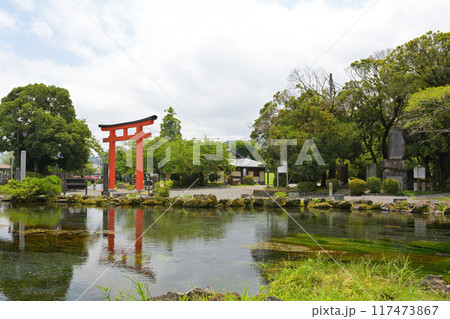 富士山本宮浅間大社 富士山本宮浅間大社 117473867