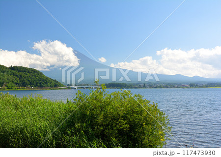 富士山 河口湖 富士山 河口湖 117473930
